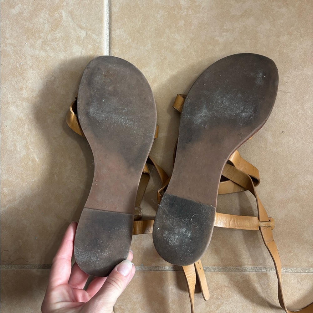 Tory Burch Brown Gladiator Sandals with Gold Buckle - Picture 6 of 9
